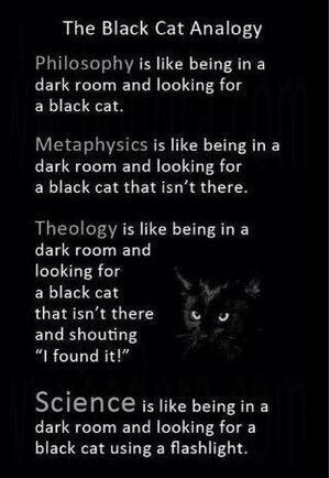 Science-Black-Cat-goog