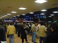 Tokyo Racecourse