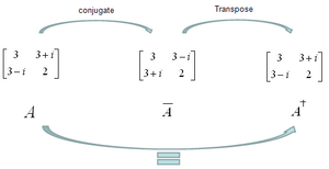 Matrix-Hermitian-01-goog