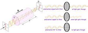 Quantum-Measurement-03-goog