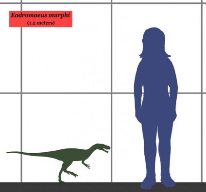 Scale 1200000