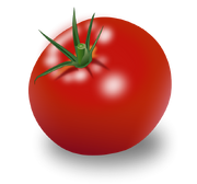 Tomato