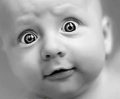 Категория "Биология".