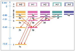 Selection-Rules-11-goog