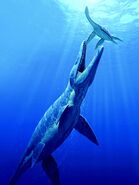 Плиозавр (лат. Pliosaurus)