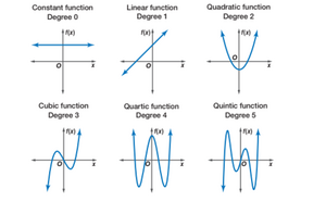 Polynomials-02-goog