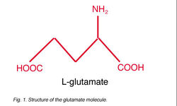 GLU1+