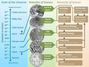 Hierarchy-Science-01-goog