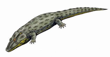 Intasuchus124DB
