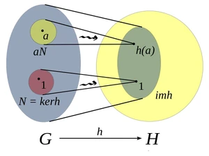 

οι μαθηματικοί
αν και έδωσαν την ονομασία ""
στην τοπολογική διαδικασία:
h: G x H → H
ποτέ δεν νοιάστηκαν για
την φυσική της "επένδυση".

Δηλαδή
ότι σε αυτήν έχουμε ένα "μαθηματικό Ον"
(π.χ. μία ομάδα G)
που "επιτίθεται" σε άλλα μαθηματικά όντα (Η)
(σύνολα, ομάδες, διανυσματικούς χώρους κλπ)
και τους επιβάλλει την δομή του
δηλ. τα "κατακτά"

Επειδή όλο το Σύμπαν
είναι ένα μαθηματικό κατασκεύασμα
η ύπαρξη της "group action"
στα θεμέλια της Τοπολογίας
δείχνει ξεκάθαρα
ότι
η επίθεση, η μάχη, ο πόλεμος και η κατάκτηση
ήταν (δηλ. προϋπήρχε)
στο "προσχέδιο" της κατασκευής του.

Τα Υλικά και Βιολογικά Όντα
που δημιουργήθηκαν στην συνέχεια της Εξέλιξης
κληρονόμησαν (κυριολεκτικά)
τις πολεμικές αρετές
των μαθηματικών προγόνων τους
