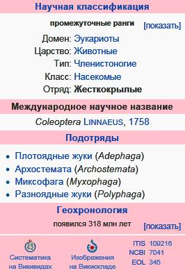 Жесткокрылые