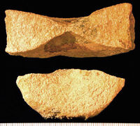 Ichthyosaur01