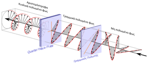 Polarized-Light-01-goog