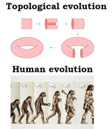 Evolution-Topological-Biological-01-goog