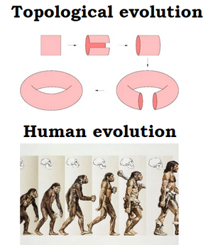 Evolution-Topological-Biological-01-goog