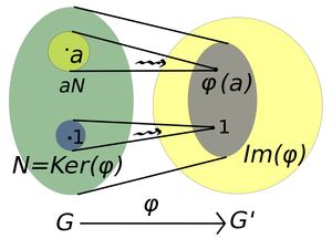 Homomorphism-01-goog