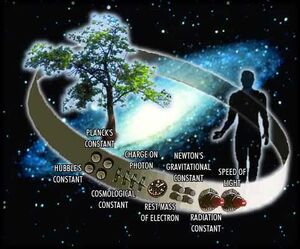 Anthropic-Principle-02-goog