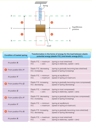 Conservation-energy-spring-01-goog