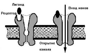 Ligand