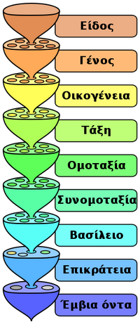 Biological-Classification-wik