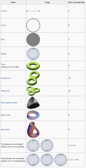 Characteristic-Euler-01a-goog