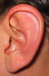 Ear