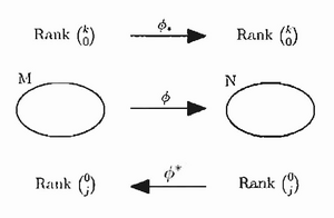 Functions-pushforward-pullback-01-goog