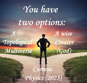 Multiverse-Two-options-01-goog