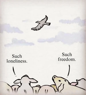 Relativity-Bird-01-goog