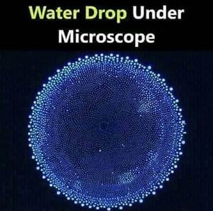  Ύδωρ

It is easy to see that the drop seems to have a "skin" holding it  into a sort of flattened . 
It turns out that this surface   is the result of the  of water   to attract one another (called cohesion).

 and  are important water properties  that affects how  works everywhere,  from plant  to your own .  Just remember,  : Water is attracted to , and  : Water is attracted to other .

The  of the molecules  results in random motion , causing  . In simple diffusion, this process proceeds  without the aid of a transport .  it is the random  of the molecules  that causes them to move from  an area of high  to  an area with a lower concentration.

Because, they have what Orb,  scientists call round or rolling molecules,  and thus why  run until  they find their own level  in 's .