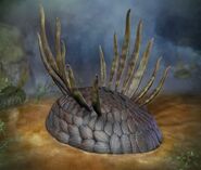 Виваксия (лат. Wiwaxia)