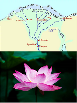 Maps-Egypt-Lotus-goog