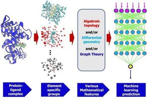 Topology-Biology-01-goog