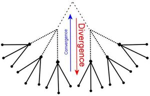 Divergence-Convergence-01-goog