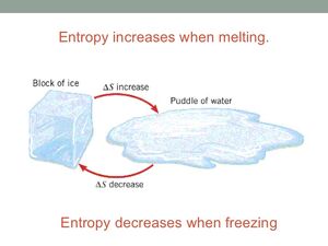 Entropy-water-01-goog