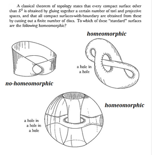 Homeomorphism-04-goog