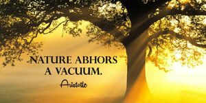 Nature-abhors-vacuum-01-goog