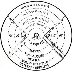 Конструкция человека