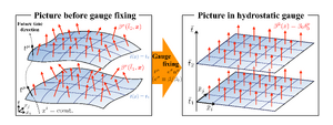 Gauge-fixing-hydrostatic-goog