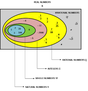 Numbers-Real-Rational-Irrational-goog