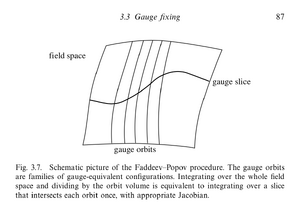 Gauge-Fixing-01-goog