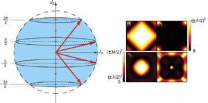 Spin-angular-momentum-11-goog