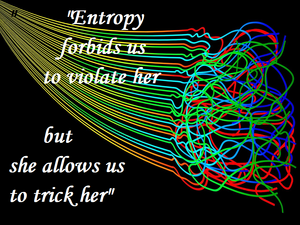 Quotes-Entropy-violate-trick-01-goog