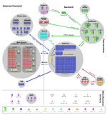 Wikimedia-servers-2010-12-28