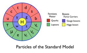 Standard-Model-01-goog