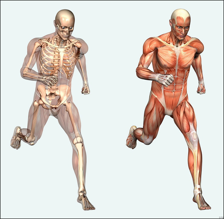 The role of physiotherapist... on emaze