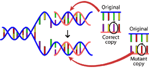 Mutation-01-goog