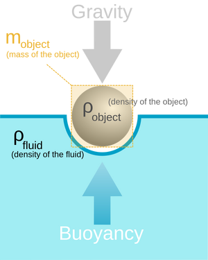 Laws-Archimedes-04-goog