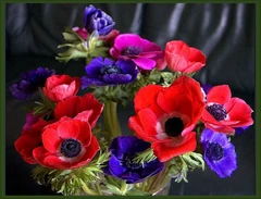  придают некоторым цветам ,  или .