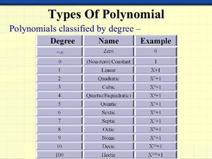 Polynomials-04-goog